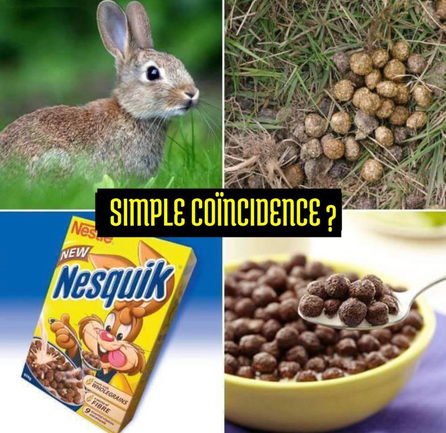 Nesquik + BOLGRAINS = coïncidence ? Je ne pense pas - meme