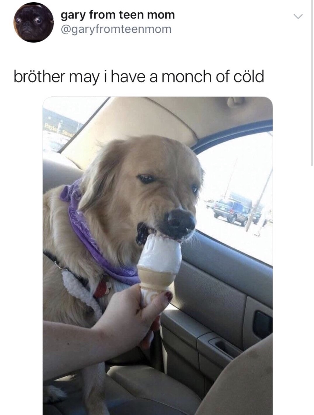 Doggos love ice-cream - meme
