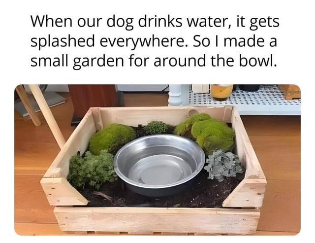 wholesome idea for dog owners - meme