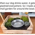 wholesome idea for dog owners