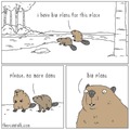 I could take on 3 beavers in a fight.