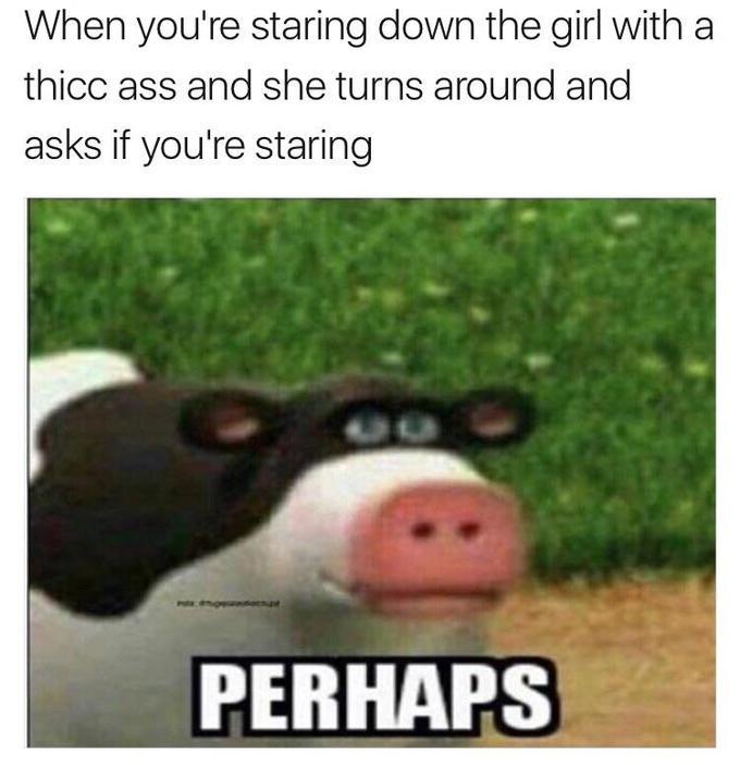 perhaps - meme