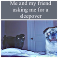 Be polite when asking for a sleepover
