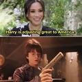 You're an American, Harry