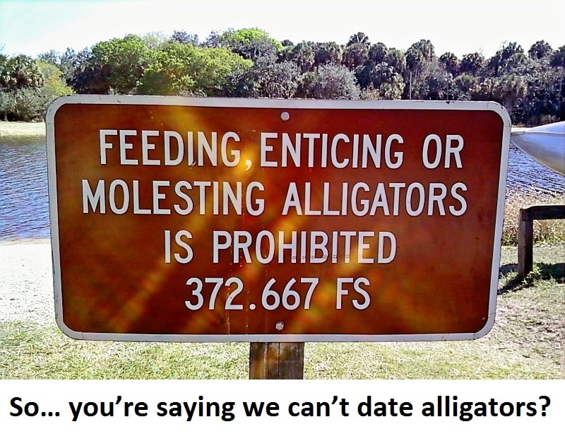 No Dating Alligators - meme