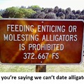 No Dating Alligators