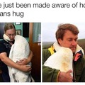 White swan hug