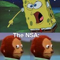 NSA be like