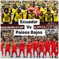 Meme Ecuador Países Bajos Mundial 2022