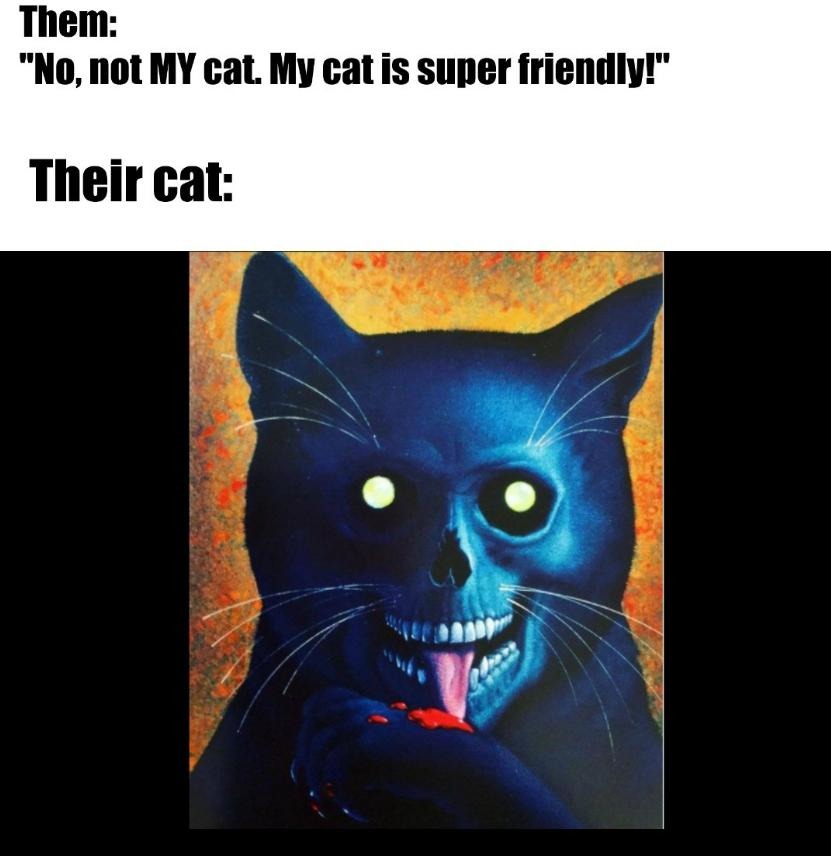 Friendly cat meme