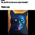 Friendly cat meme