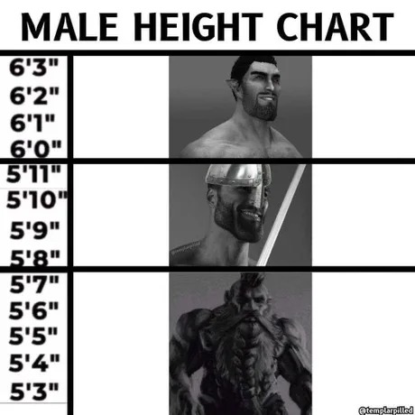Male height chart - meme