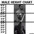 Male height chart