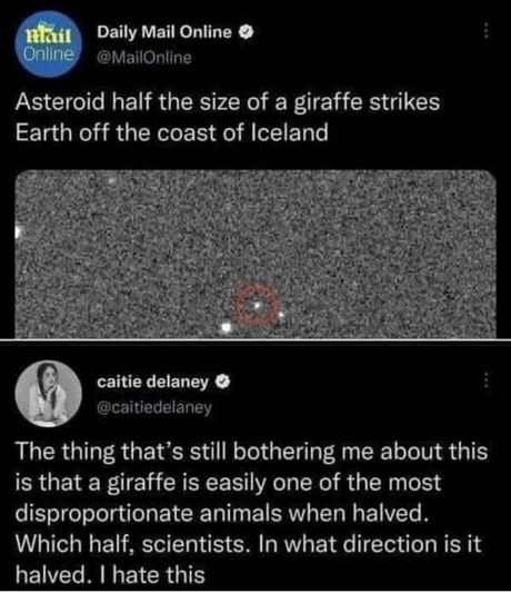 Size of a giraffe - meme