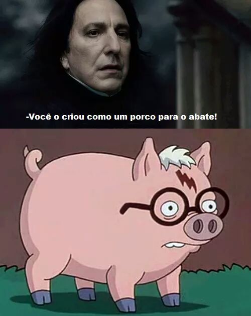 Harry porco...*-* - meme