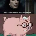 Harry porco...*-*
