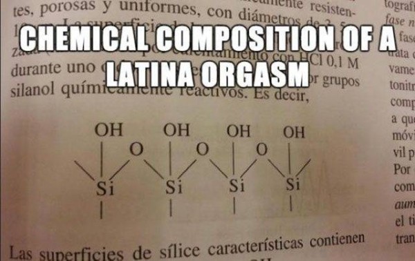 Chemical composition of a latina orgasm - meme