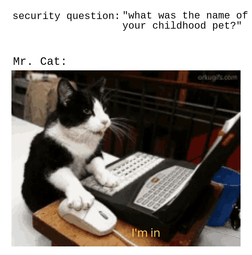 Hacker cat Meme by Moopert :) Memedroid