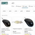 Trying to get a new mouse, thoughts?