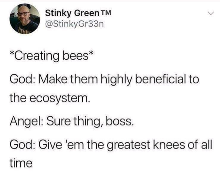 Insert bee joke here - meme