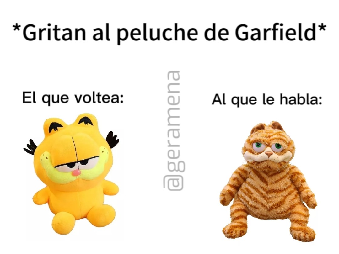 El segundo peluche es muy conocido en tiktok como Garfield Nirvana, ese es el chiste del meme