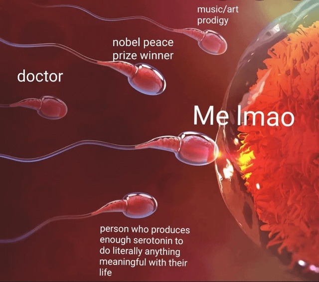 Shoutout to people who function with zero serotonin - meme