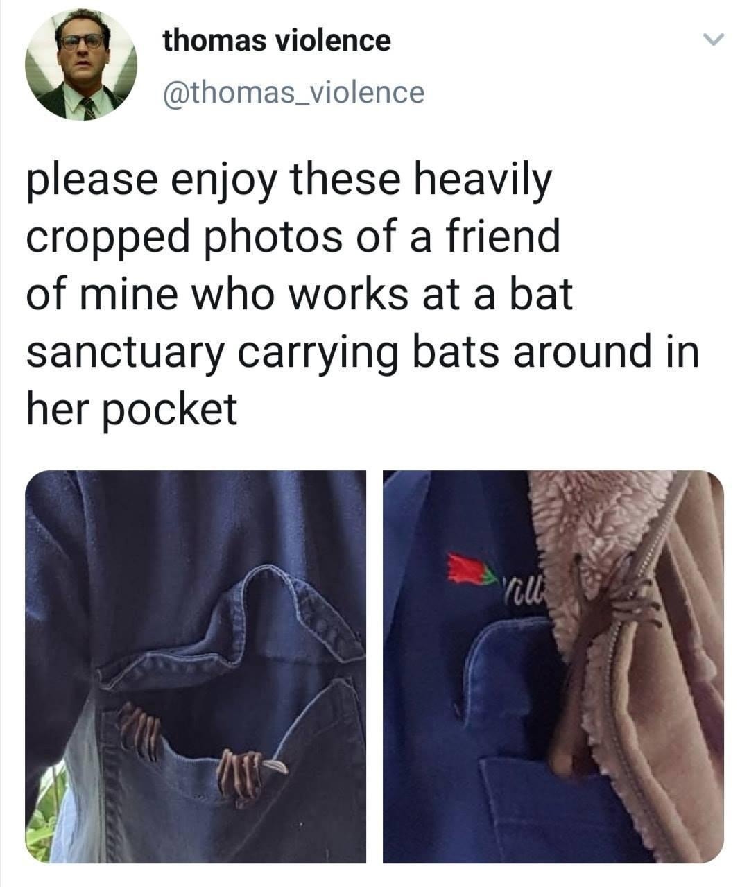 Bats in the pocket, sanity in question - meme