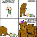 Pobre oso