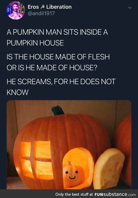 pumpkin - meme