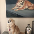 my gfs parents got a painted portrait of their dog