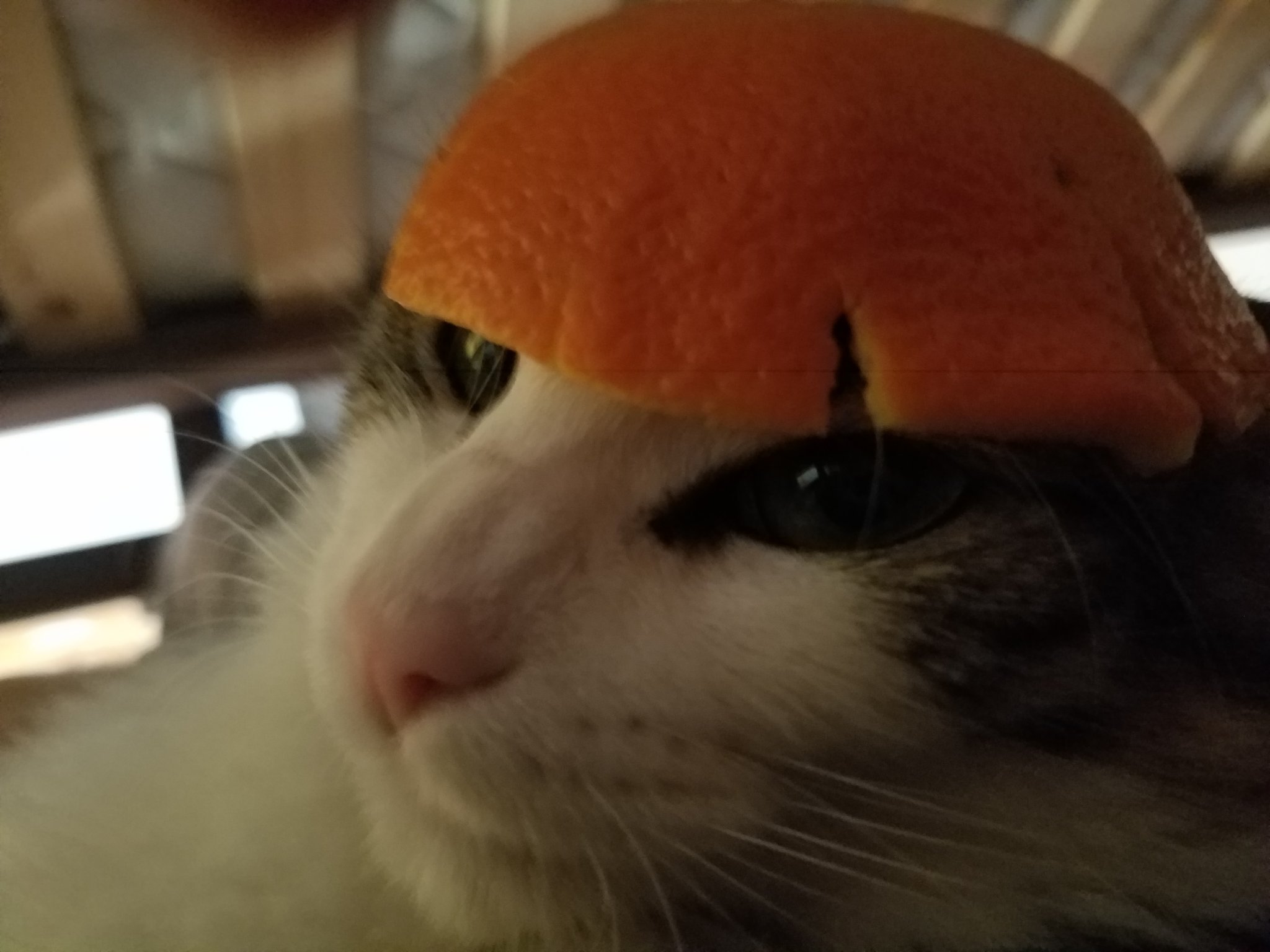 Capitana naranja - meme