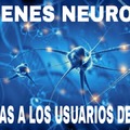 Tiktokers sin neuronas