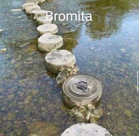 Bromita  - meme