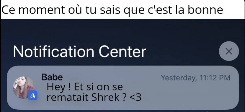 Shrek is life - meme