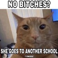 She goes to another school synonym of no bitches meme