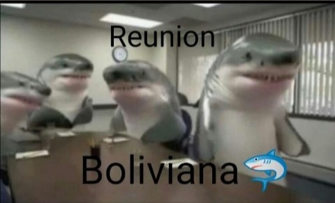 Reunion boliviana - meme