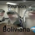 Reunion boliviana