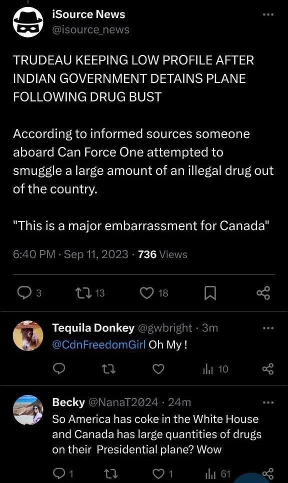 Cnd Gov sent 2nd plane cause 1st one was detained lol - meme