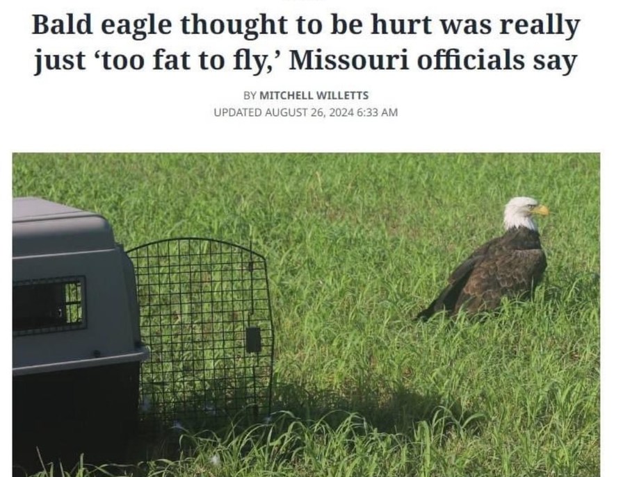 Only in Missouri - meme