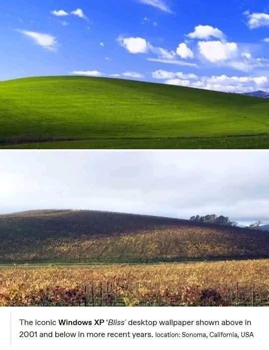 Windows XP deskpot wallpaper now - meme