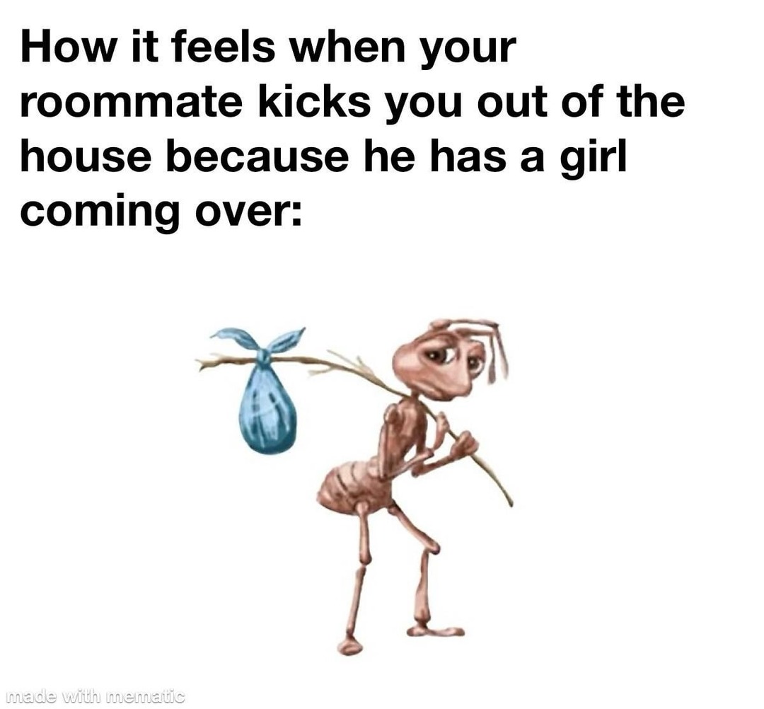Roommate kicked me out for a girl. I’m the guest now - meme