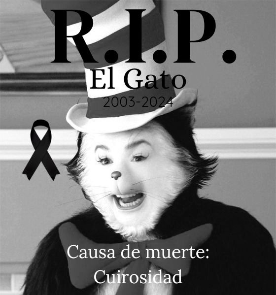 F por el gato - meme