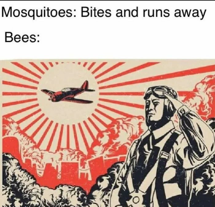 Bees be like - meme