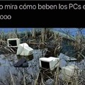 Pc anfibia
