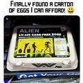 Cheap Eggs