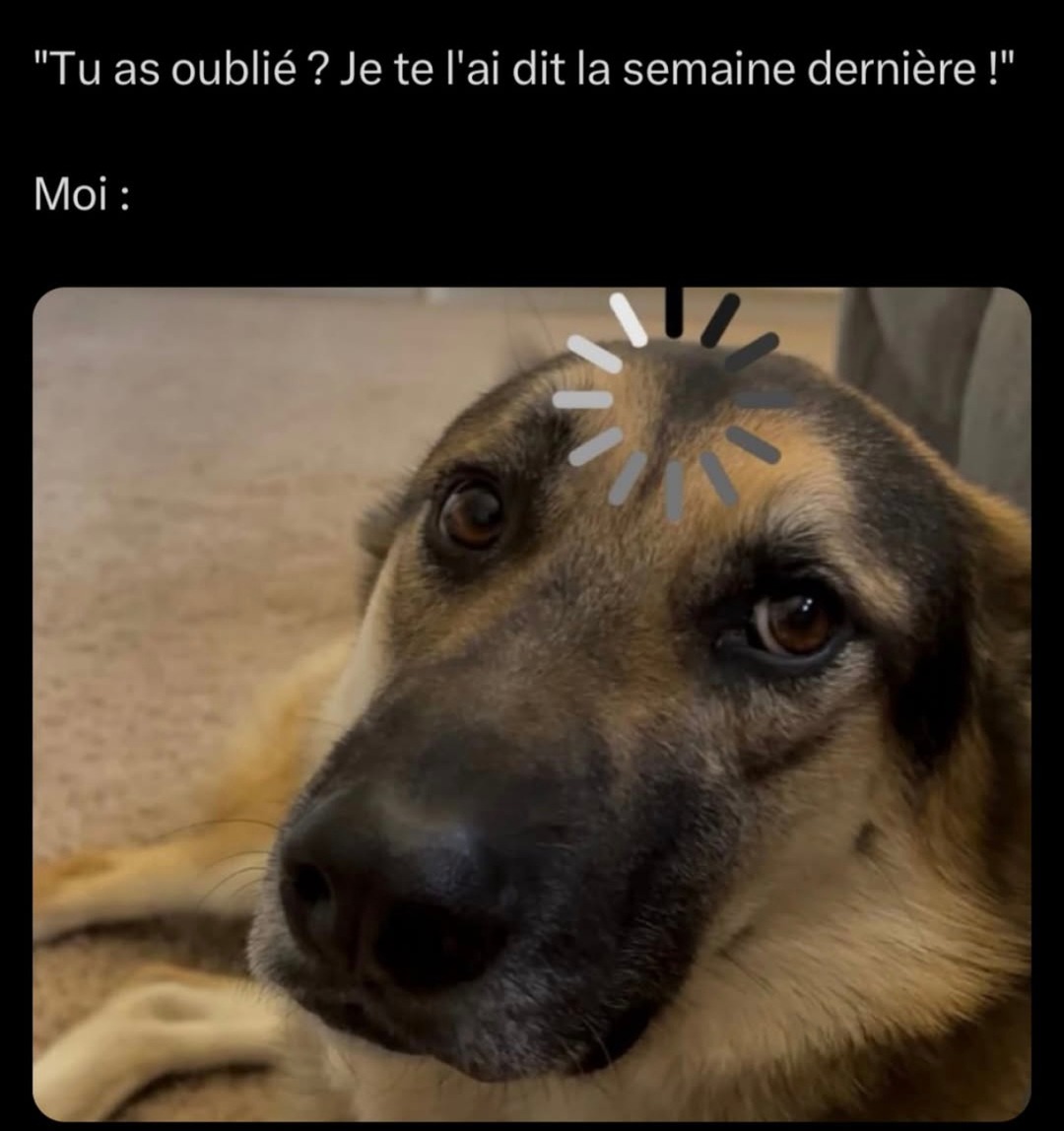 Je te l’ai dit la semaine dernière ! Moi :  - meme