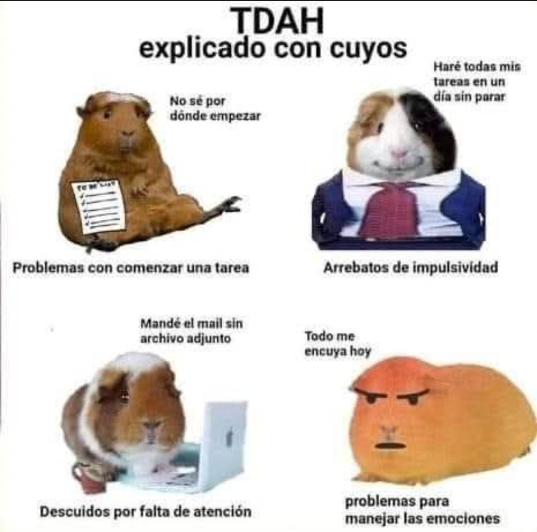 Cómo se siente tener TDAH explicado en un solo meme