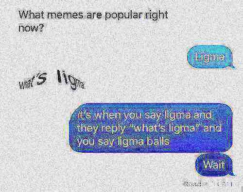 normies that don’t know what ligma id - meme