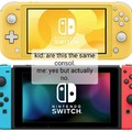 Switch and switch lite