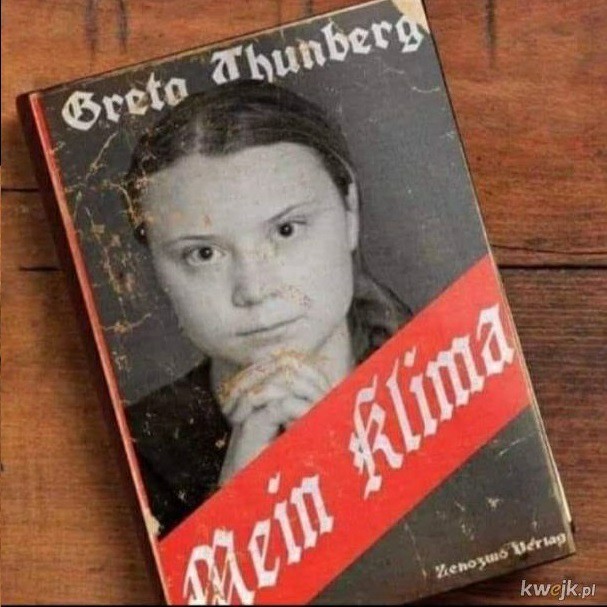 Herr Greta - meme